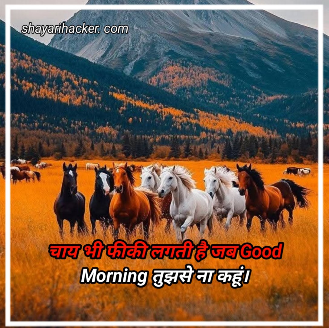 LoveGoodMorningShayari